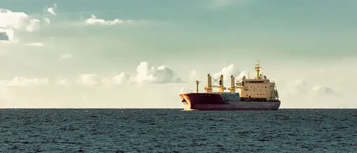 Protection and Indemnity insurance coverage example